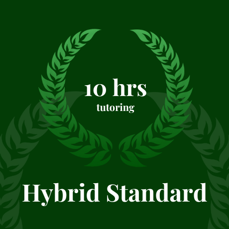 Hybrid Membership | Academy + partial Private Tutoring Package